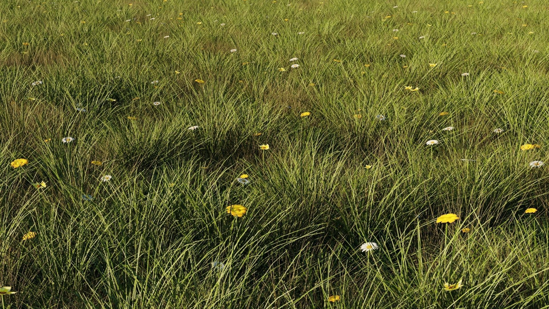 Grass set in circle 3D model_2