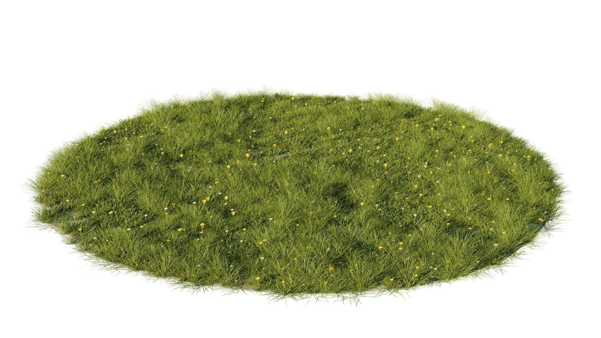 Grass set in circle 3D model_3