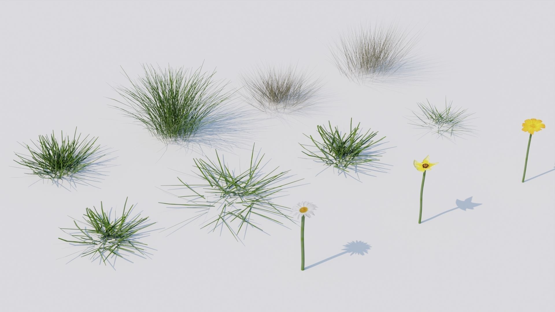 Grass set in circle 3D model_8