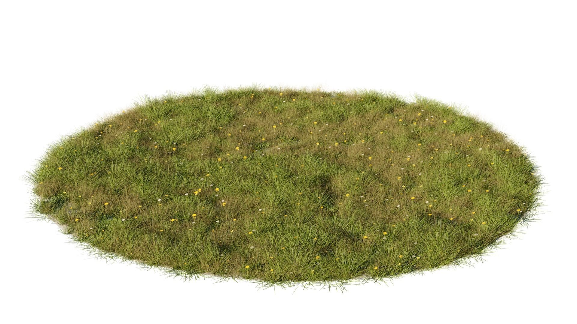 Grass set in circle 3D model_4