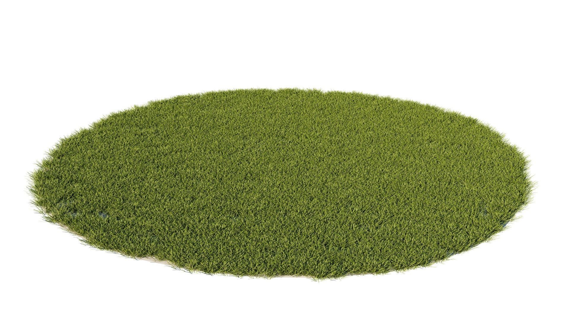 Grass set in circle 3D model_5