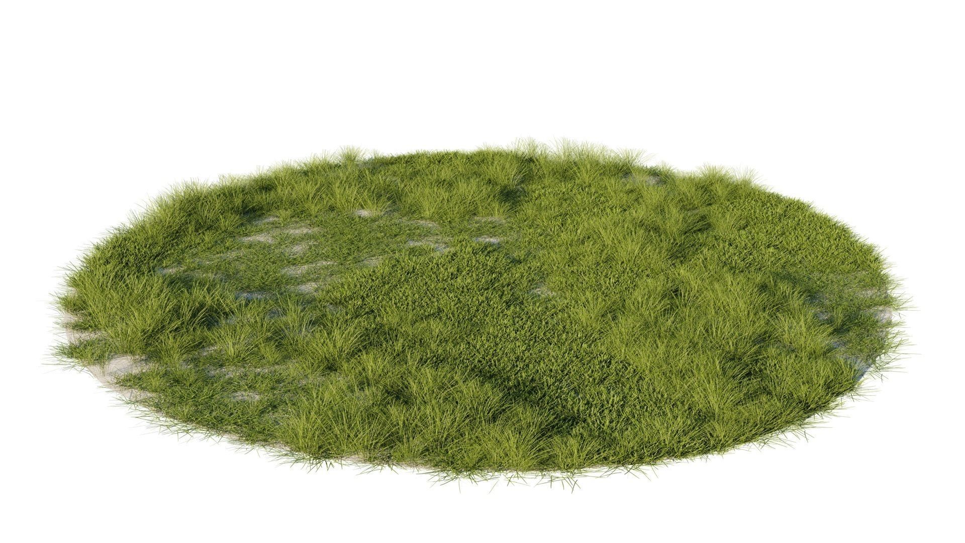 Grass set in circle 3D model_7