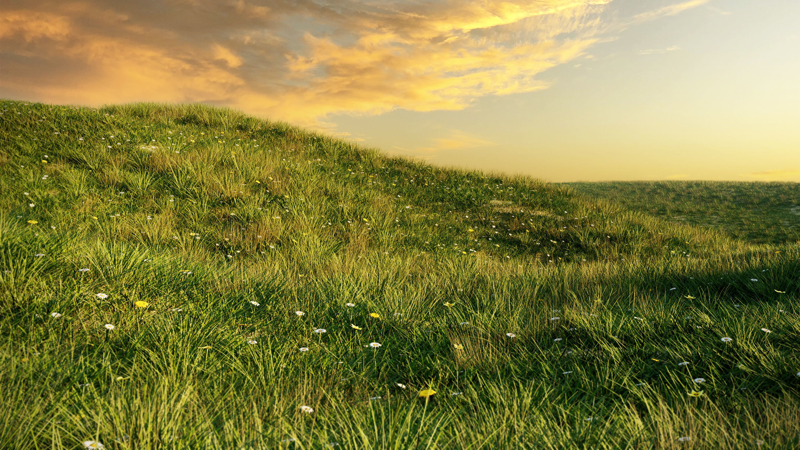 Grass set in circle 3D model_1