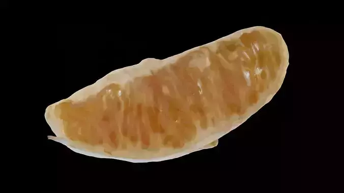 PHOTOSCANNED Orange Inside Slice 1