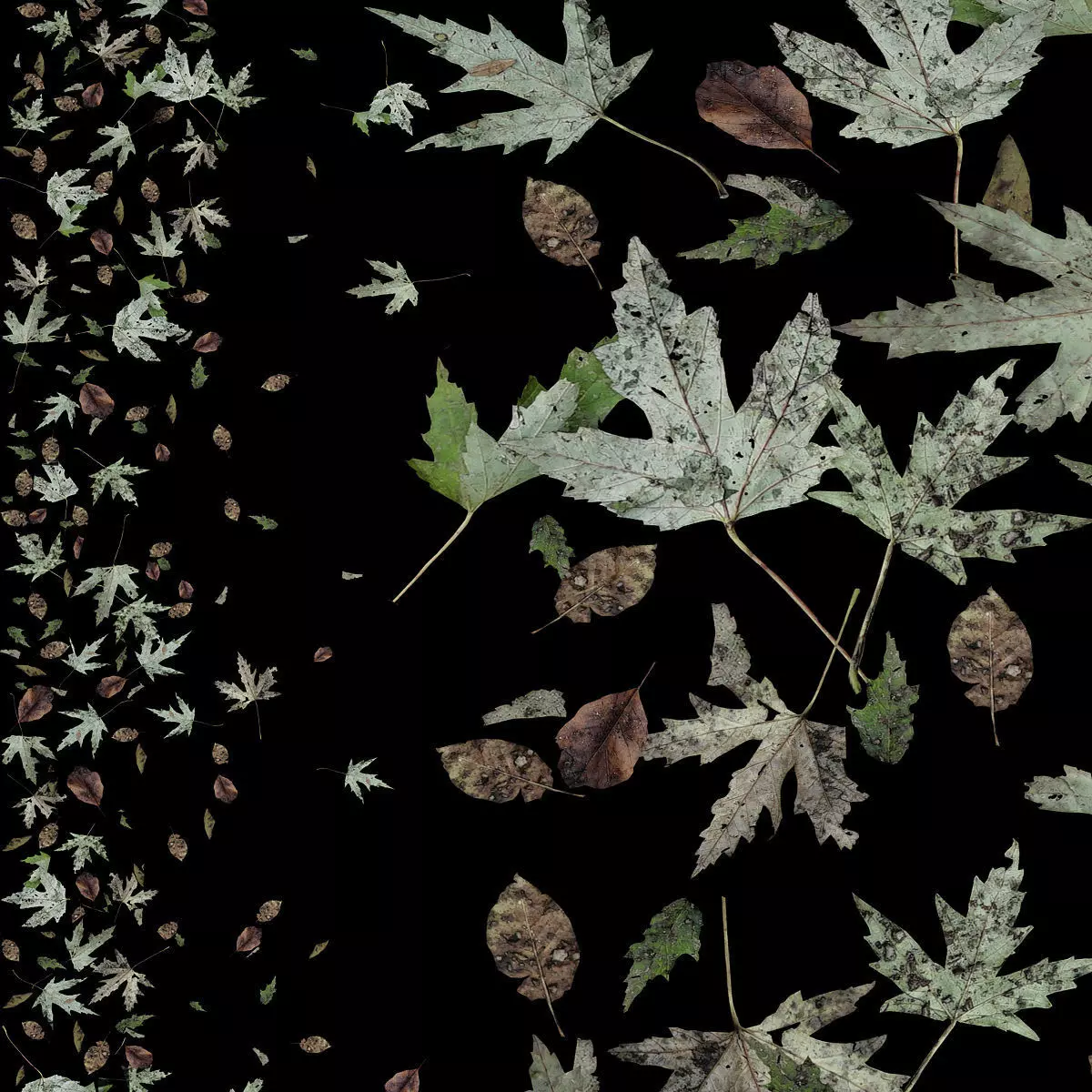 Autumn green leaves 3D model_0