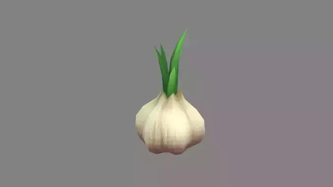 Sprouted garlic