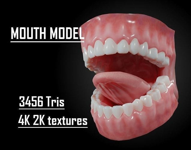 Human Mouth and teeth For Character Low-poly 3D model
