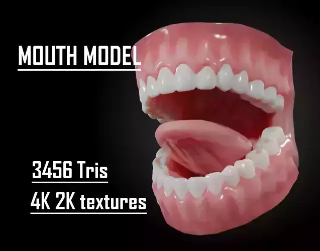 Human Mouth and teeth For Character Low-poly 3D model