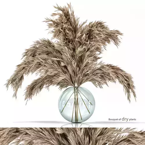 Dried flower- bouquet 006 3D model