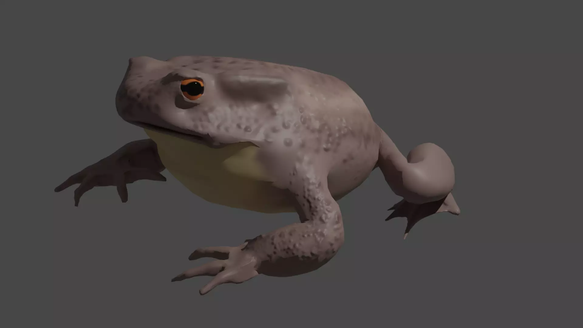 common toad Low-poly 3D model