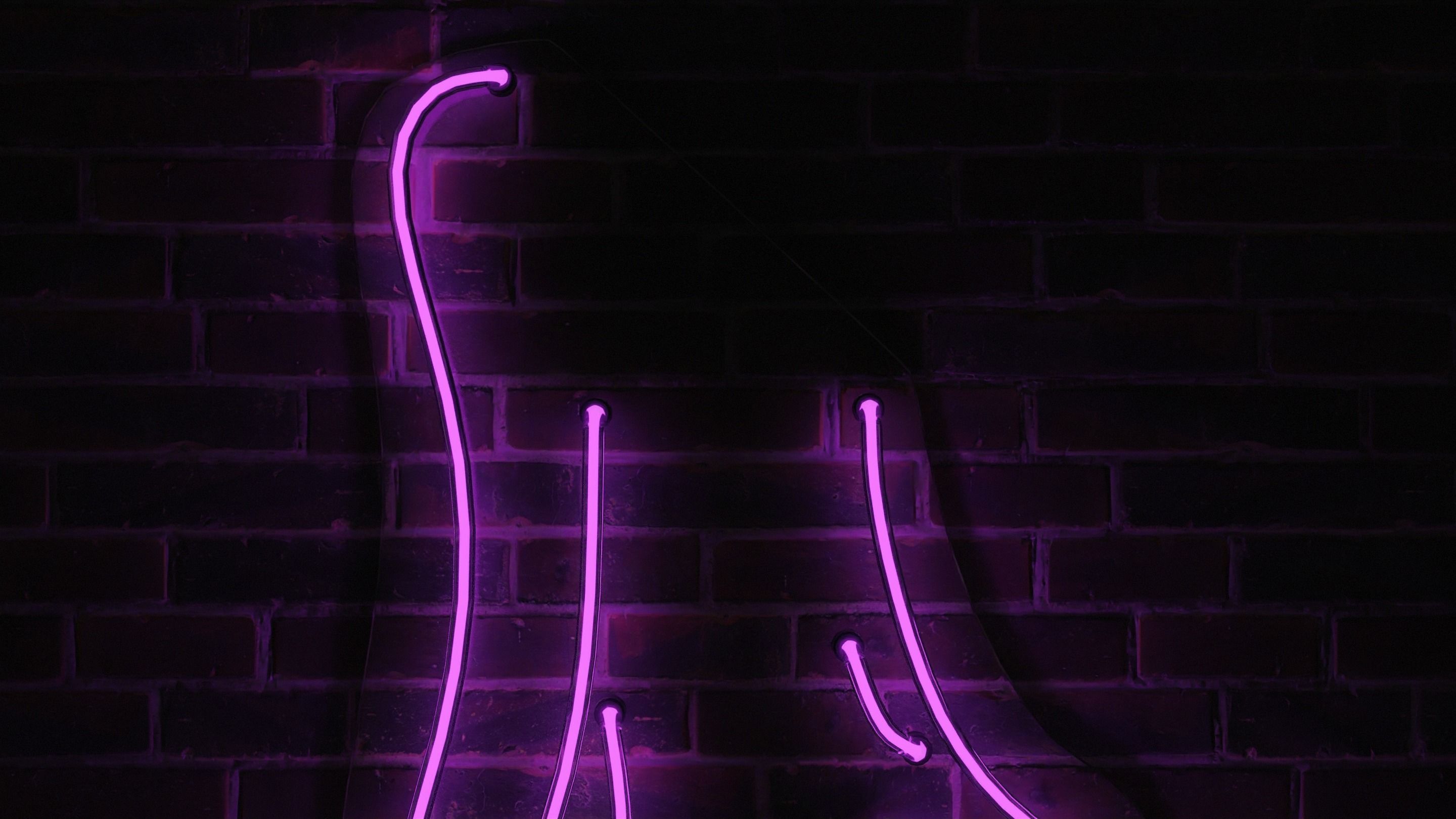 Neon 3D Model 14 - Body Shape 4 3D model_2