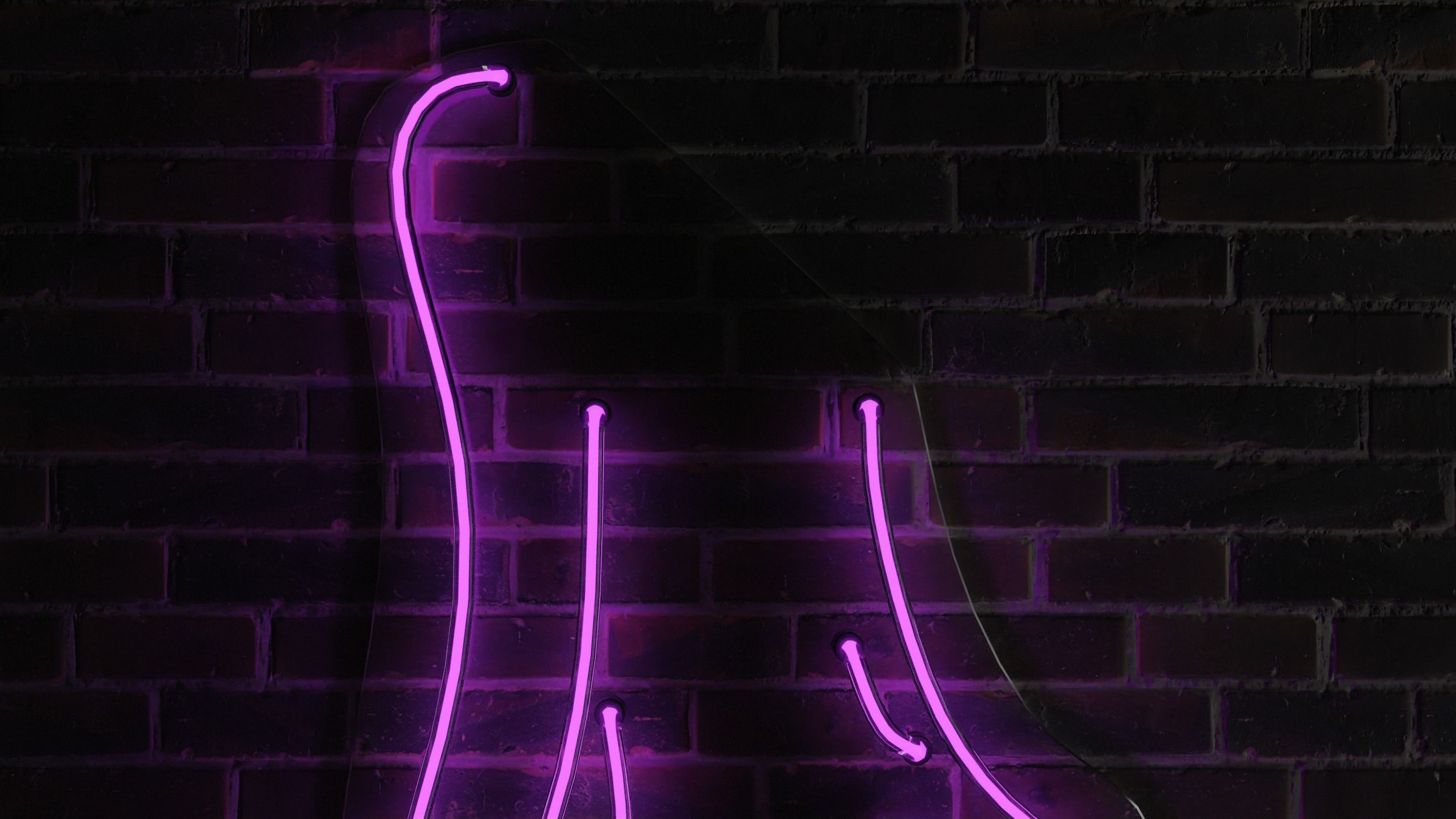 Neon 3D Model 14 - Body Shape 4 3D model_6