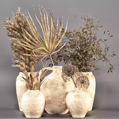 Collection of plants-004 