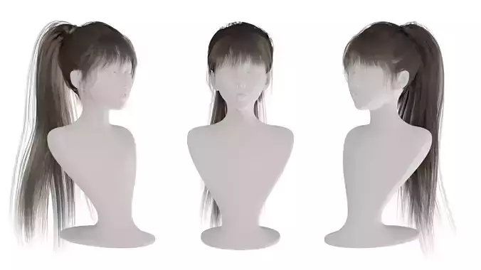 Realistic Woman high ponytail long Hair Style