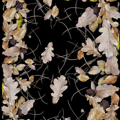 Autumn yellow leaves 3D model