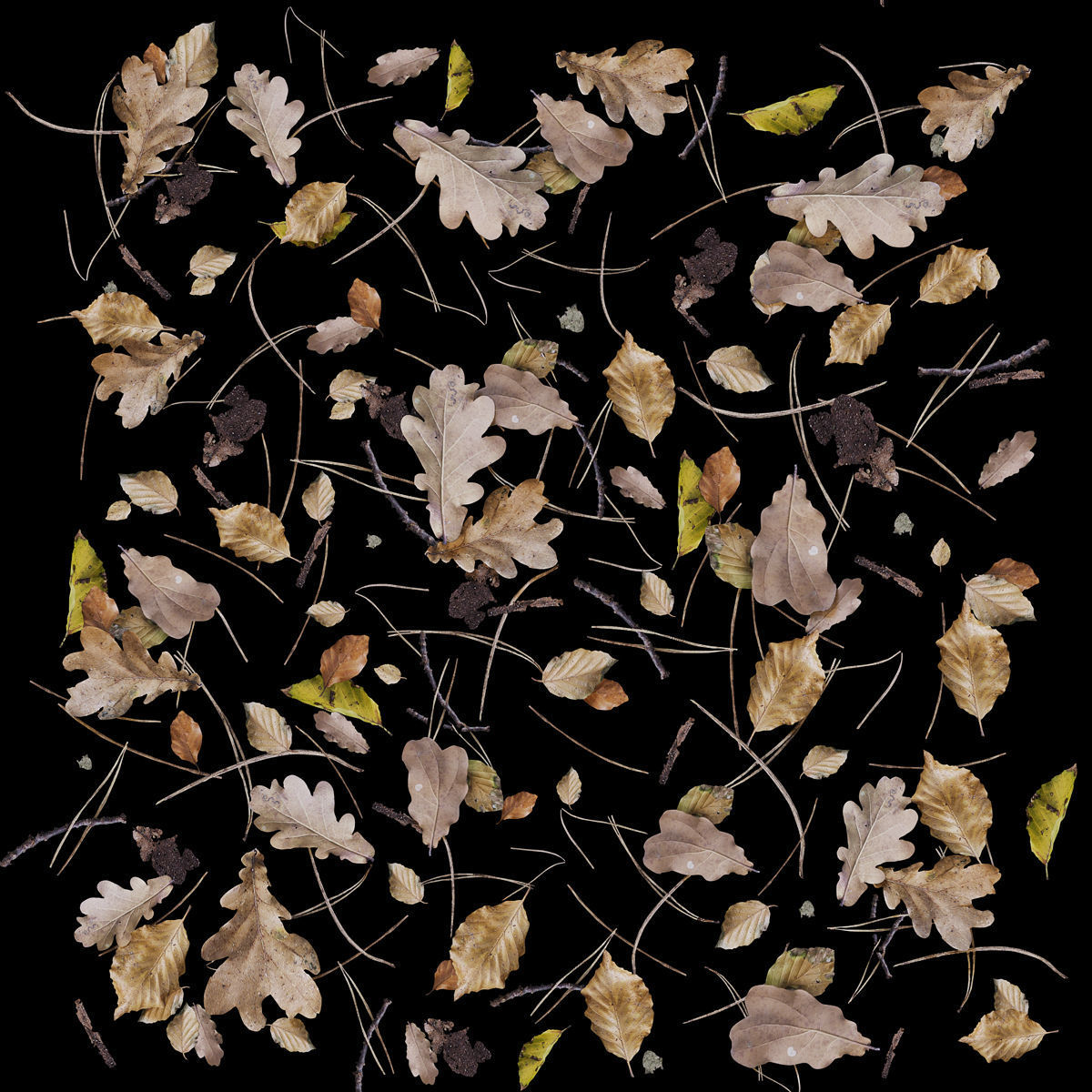 Autumn yellow leaves 3D model_1