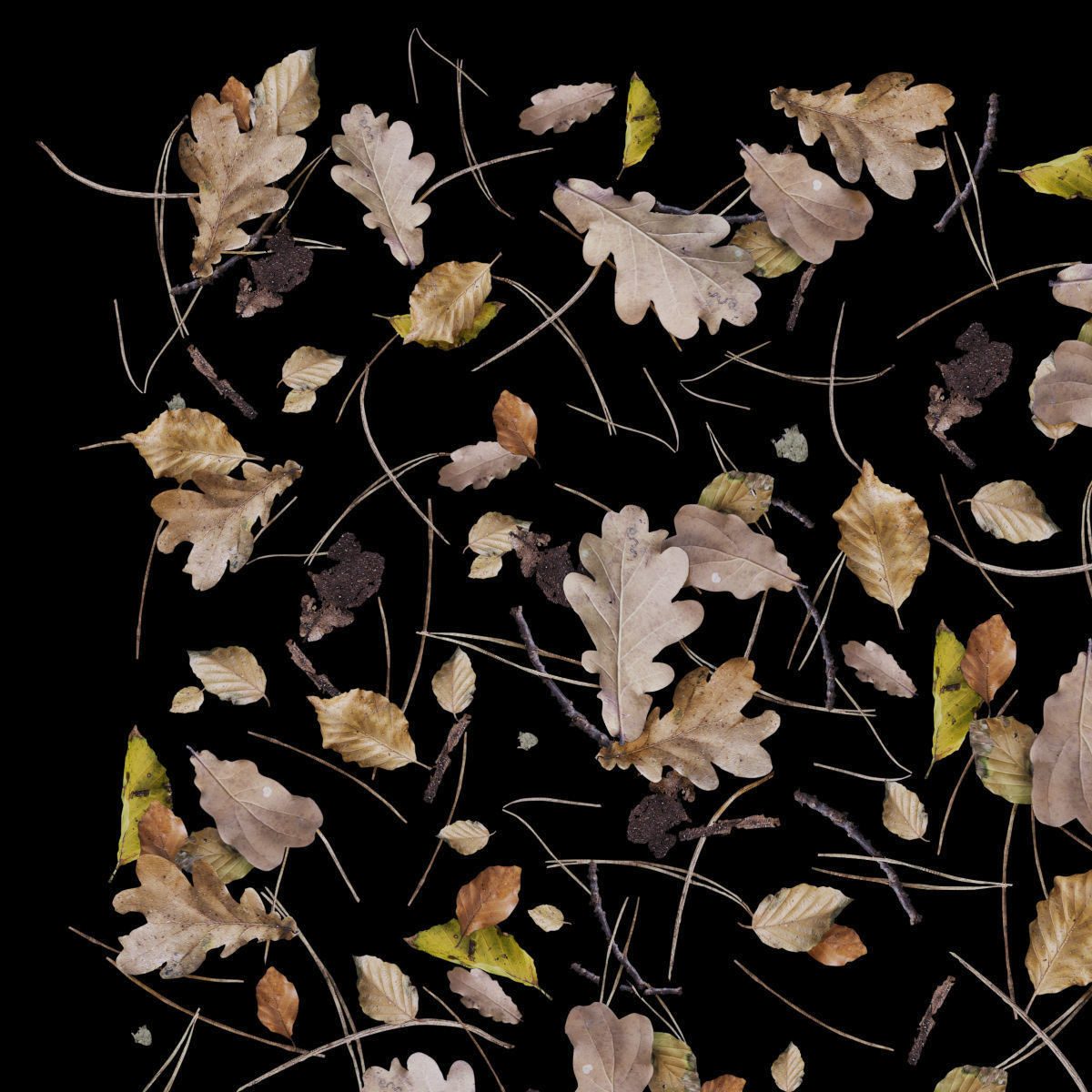 Autumn yellow leaves 3D model_4
