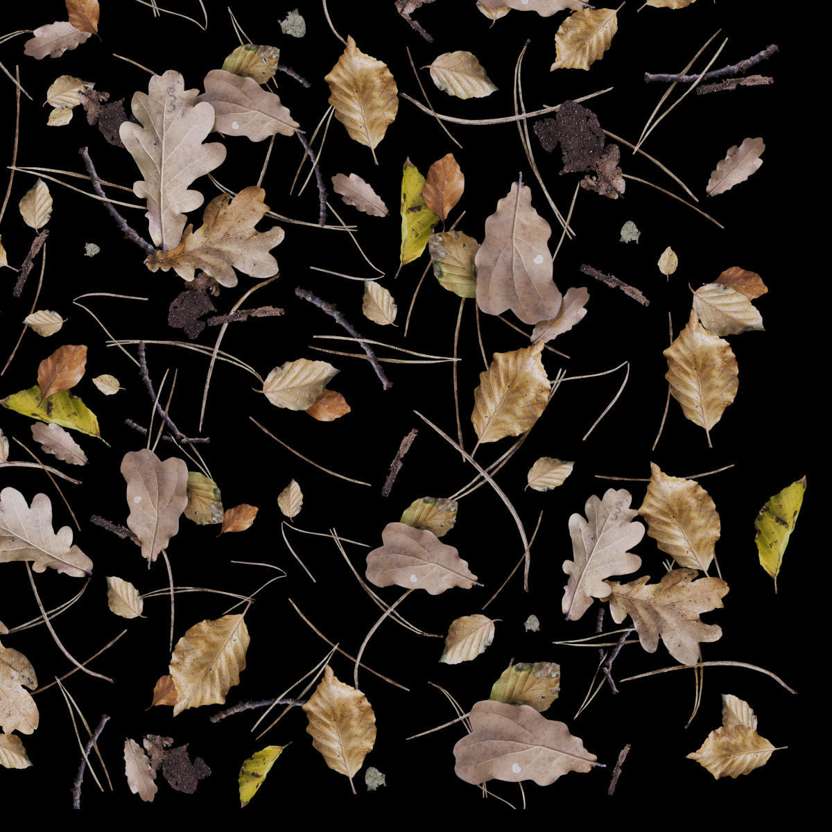 Autumn yellow leaves 3D model_3