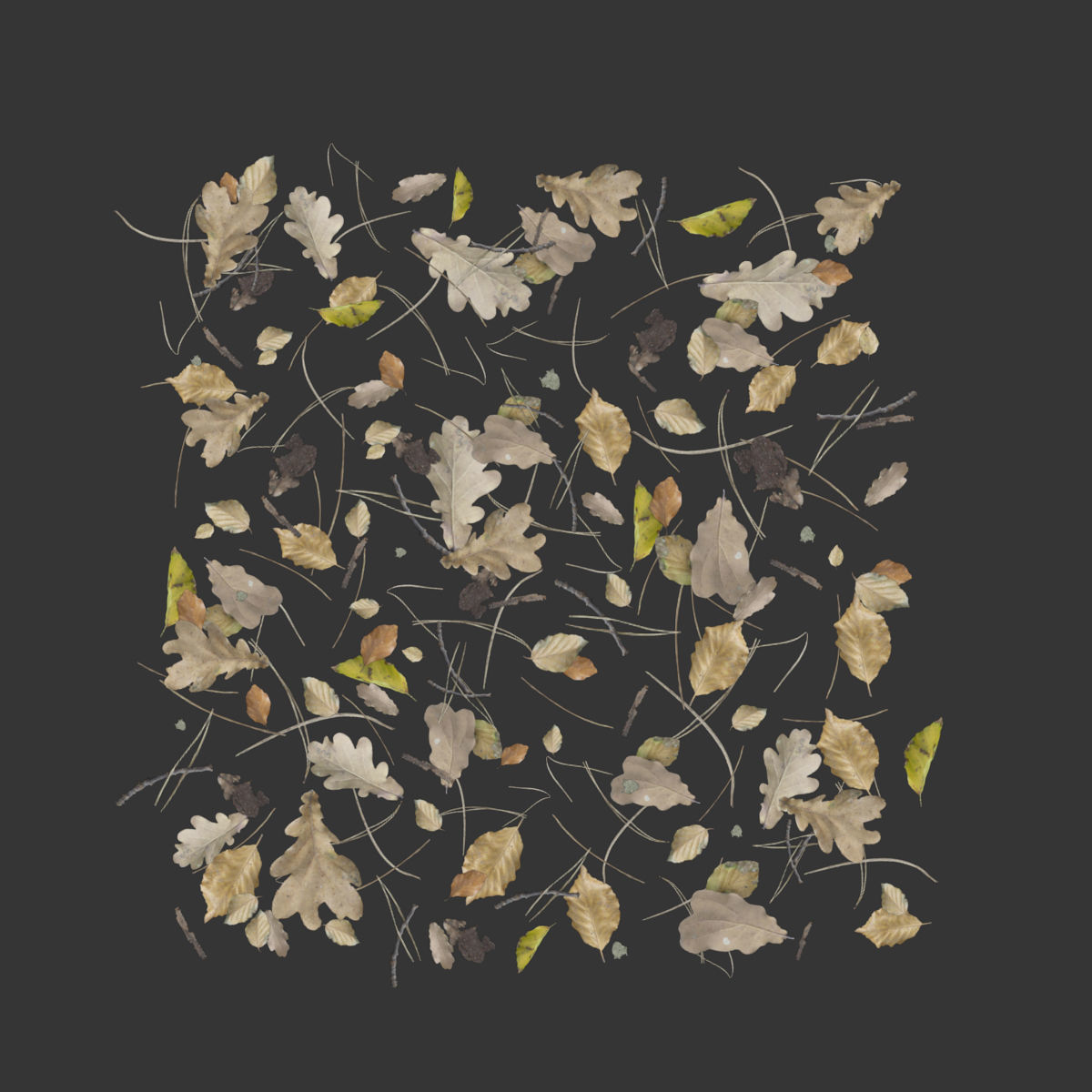 Autumn yellow leaves 3D model_6