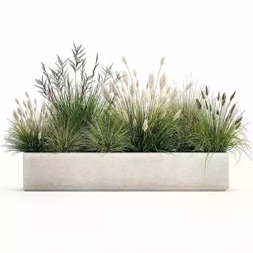 Potted reeds for landscaping 1076 3D model