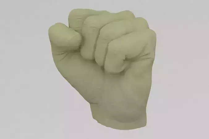 Closed Fist 3D print model