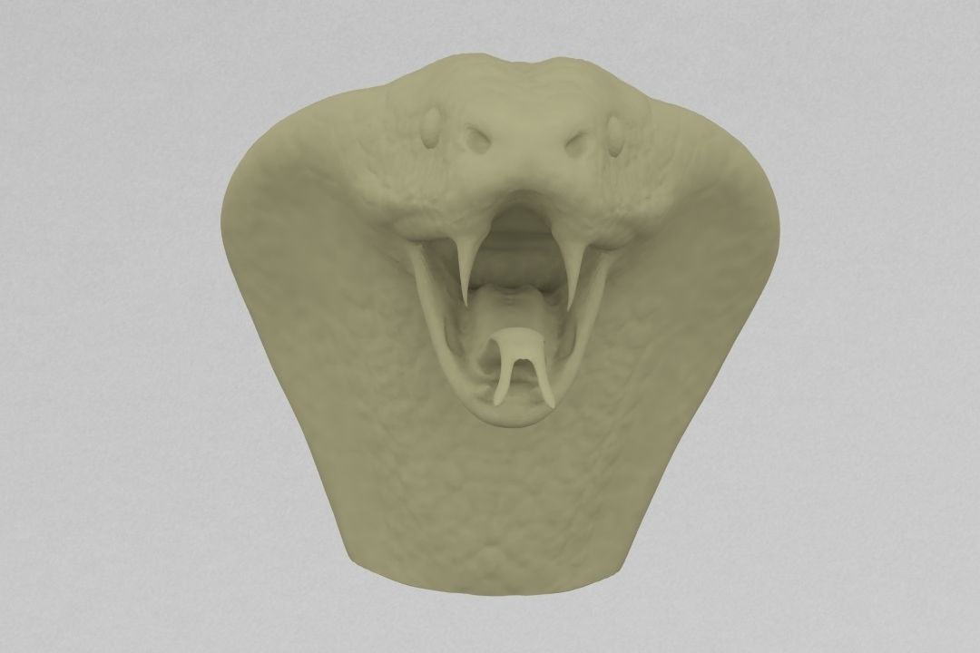 Cobra head 3D model 3D printable | CGTrader