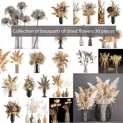 Collection of bouquets of dried flowers 30 pieces  3D model