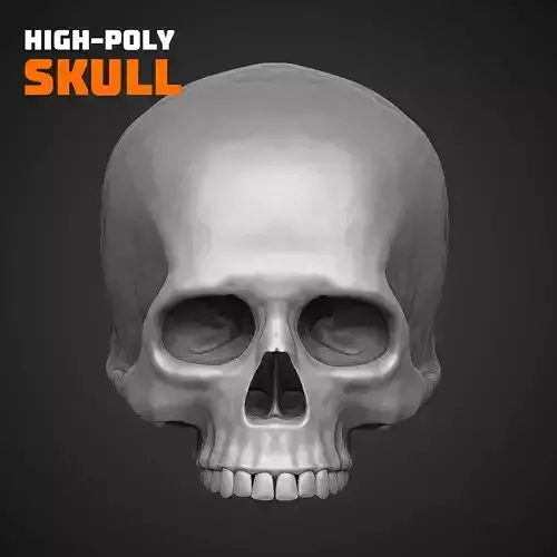 High-Poly Skull and