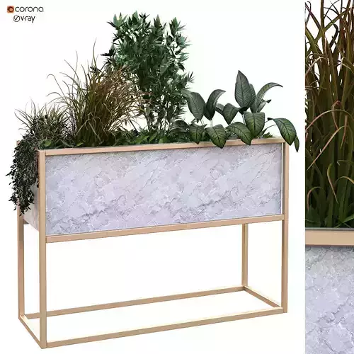 plant in box set 171