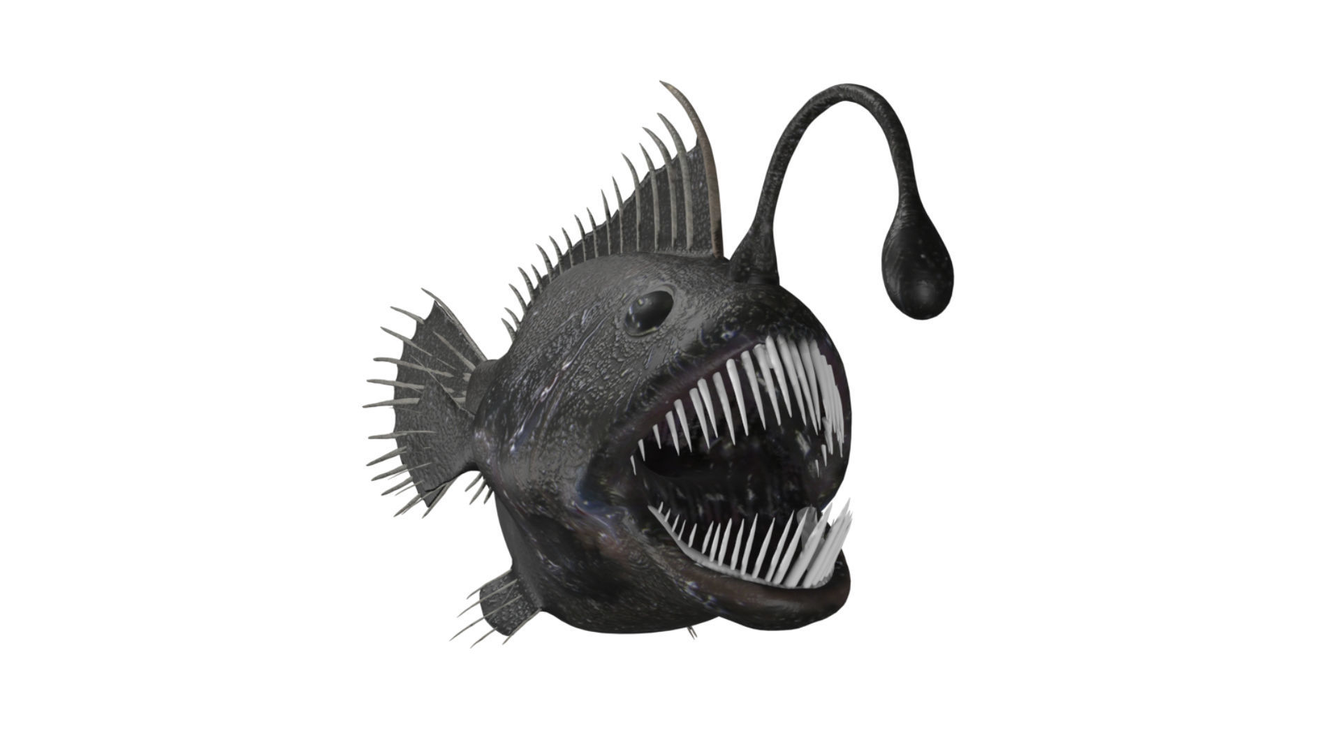 anglerfish fish Low-poly 3D model_2