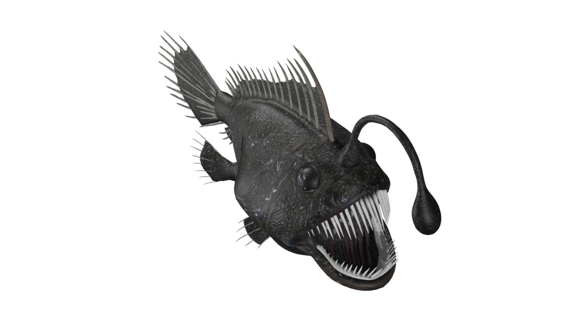anglerfish fish Low-poly 3D model_4
