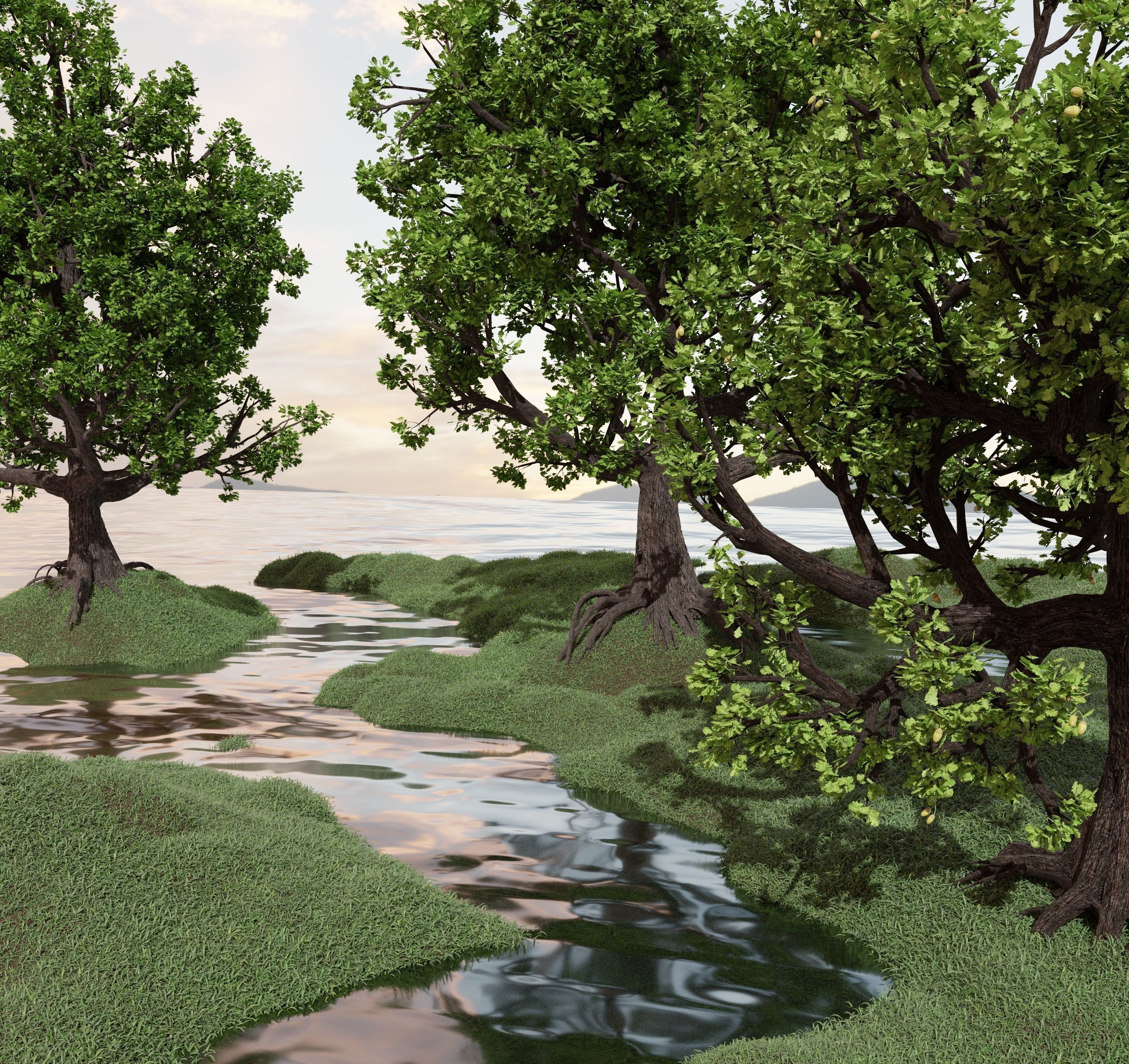 Oak-tree ver 0-0 3D model_13