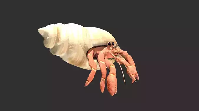 Hermit Crab Low-poly 3D model