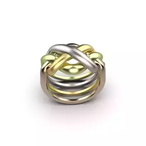 Puzzle ring 3D print model