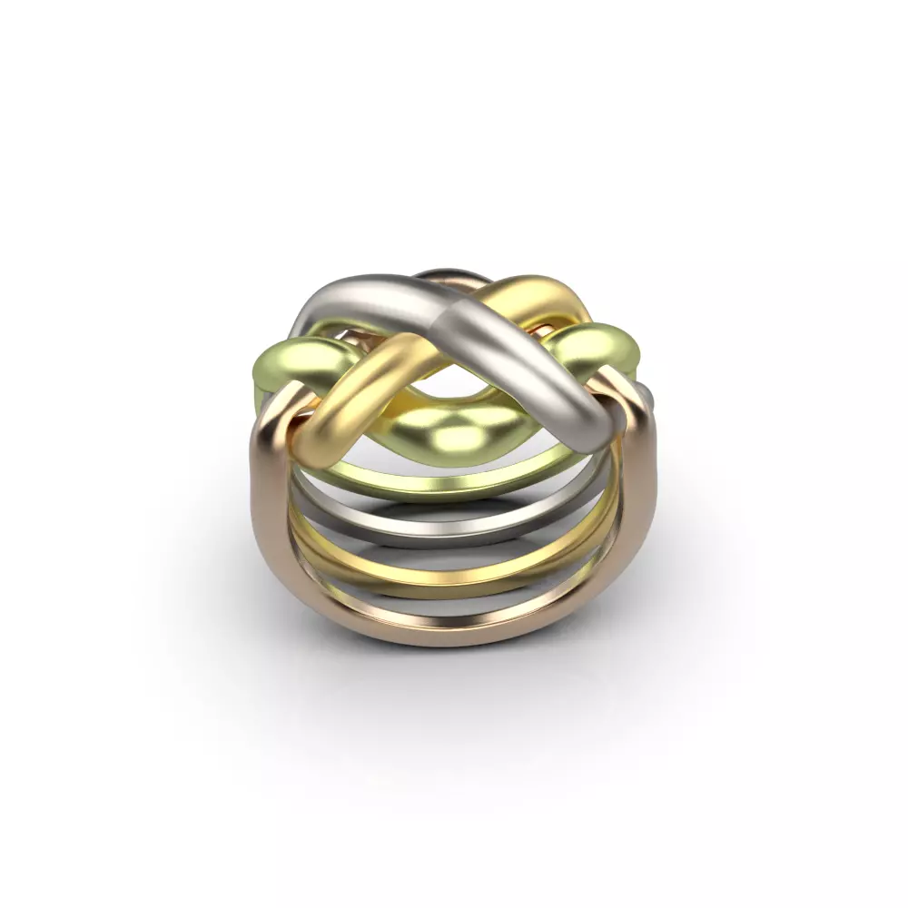 Puzzle ring 3D print model_0