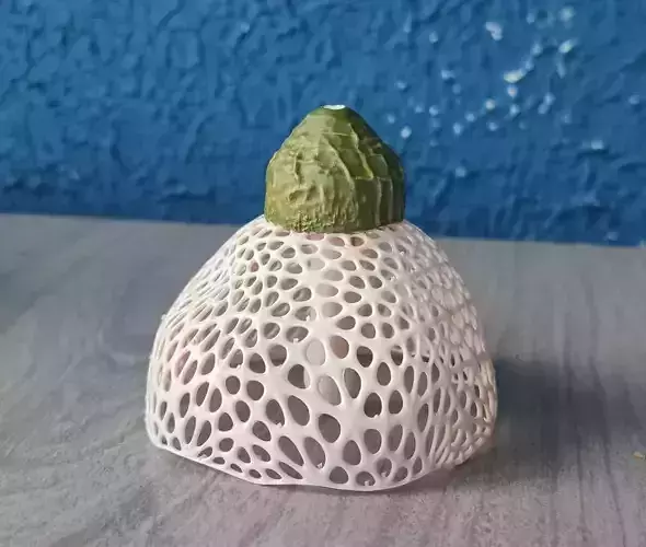 Mushroom Phallus indusiatus