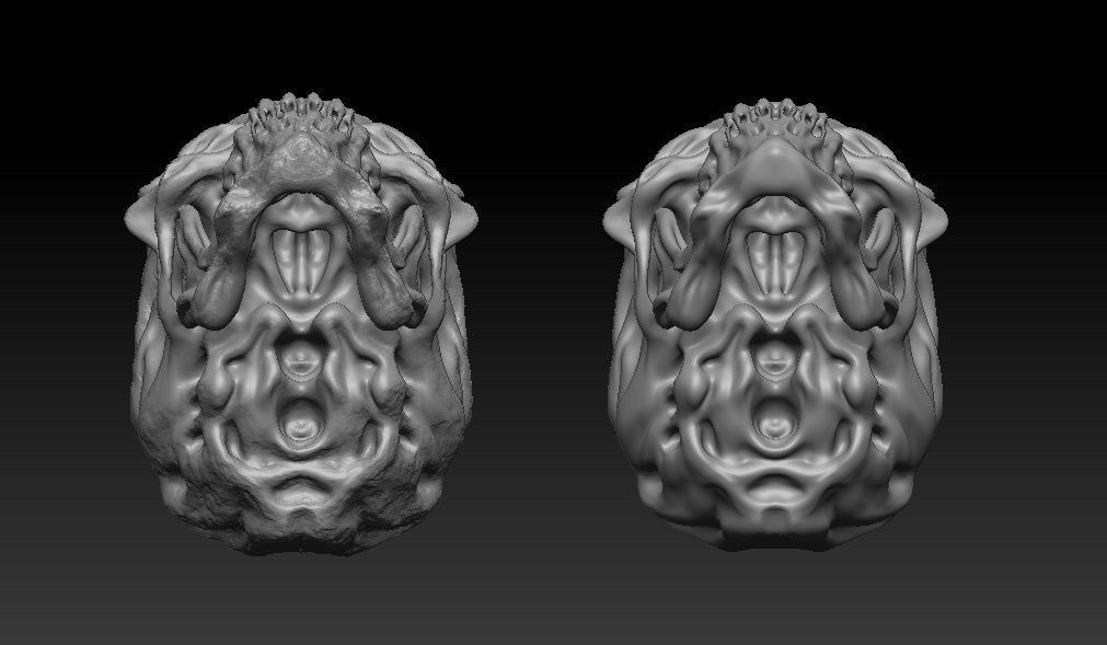 Stylized skulls  3D model_5