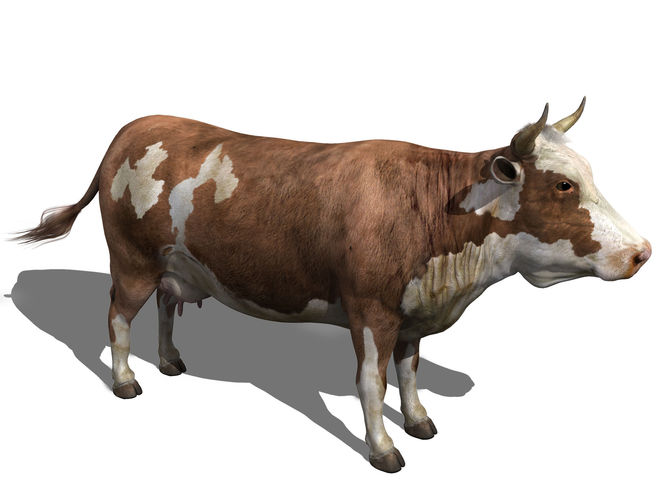 cow hi-res Free 3D model