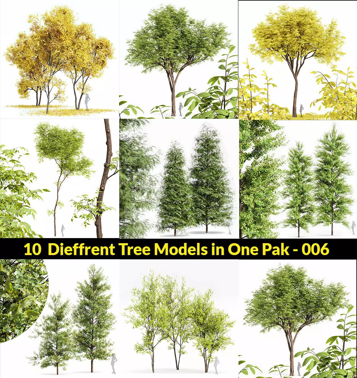 10 Dieffrent Tree Models in One Pak 006 3D model_0