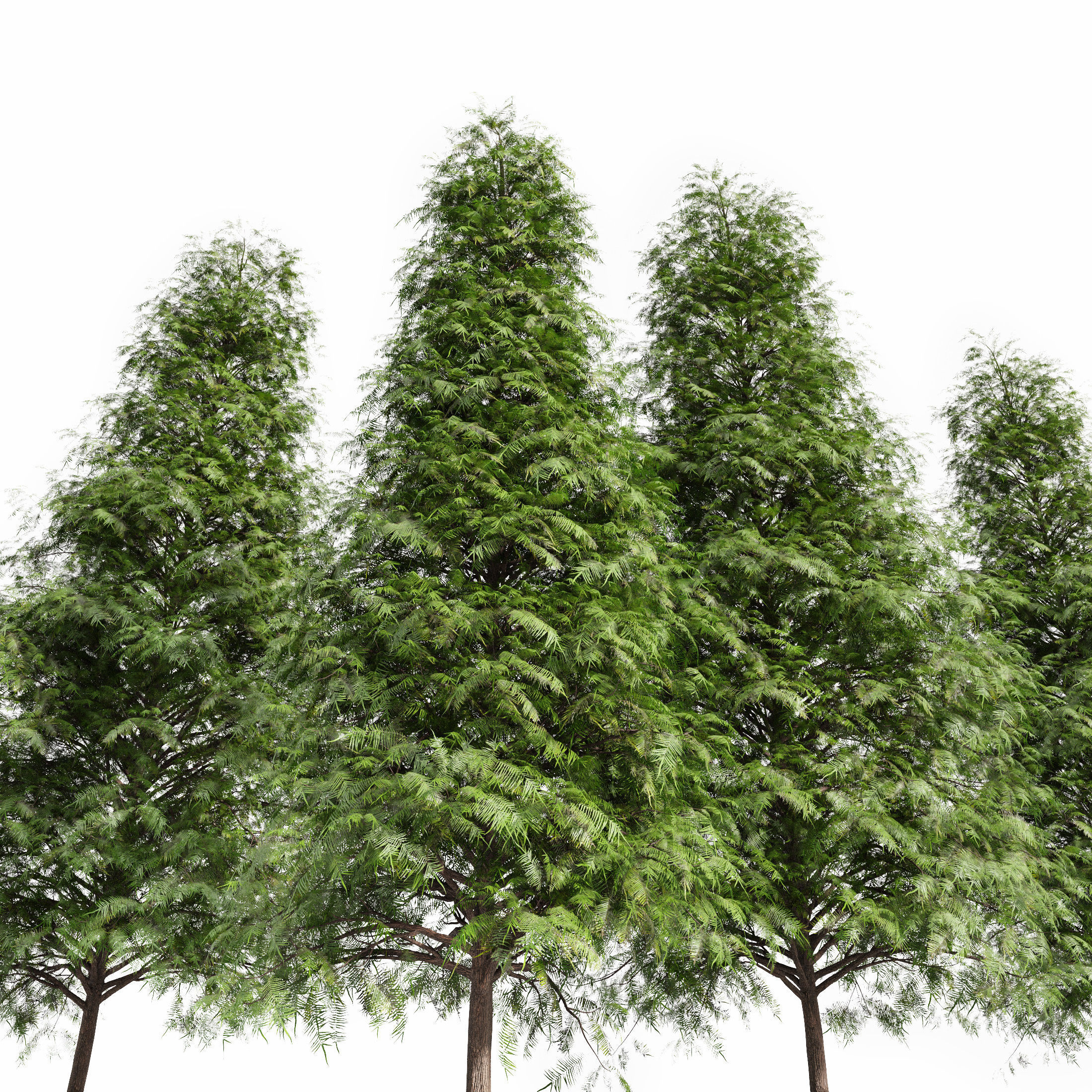 10 Dieffrent Tree Models in One Pak 006 3D model_40