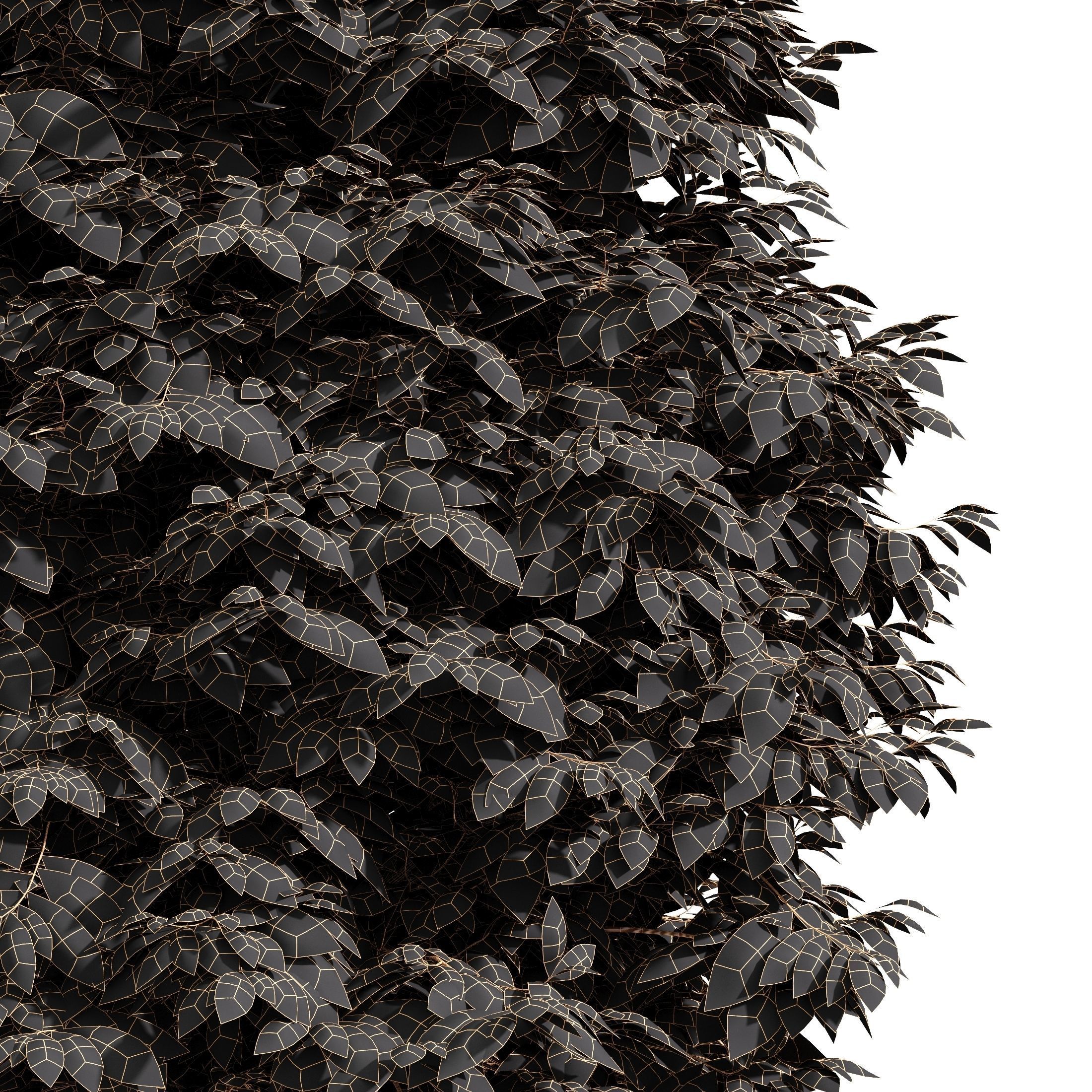 10 Dieffrent Tree Models in One Pak 006 3D model_31