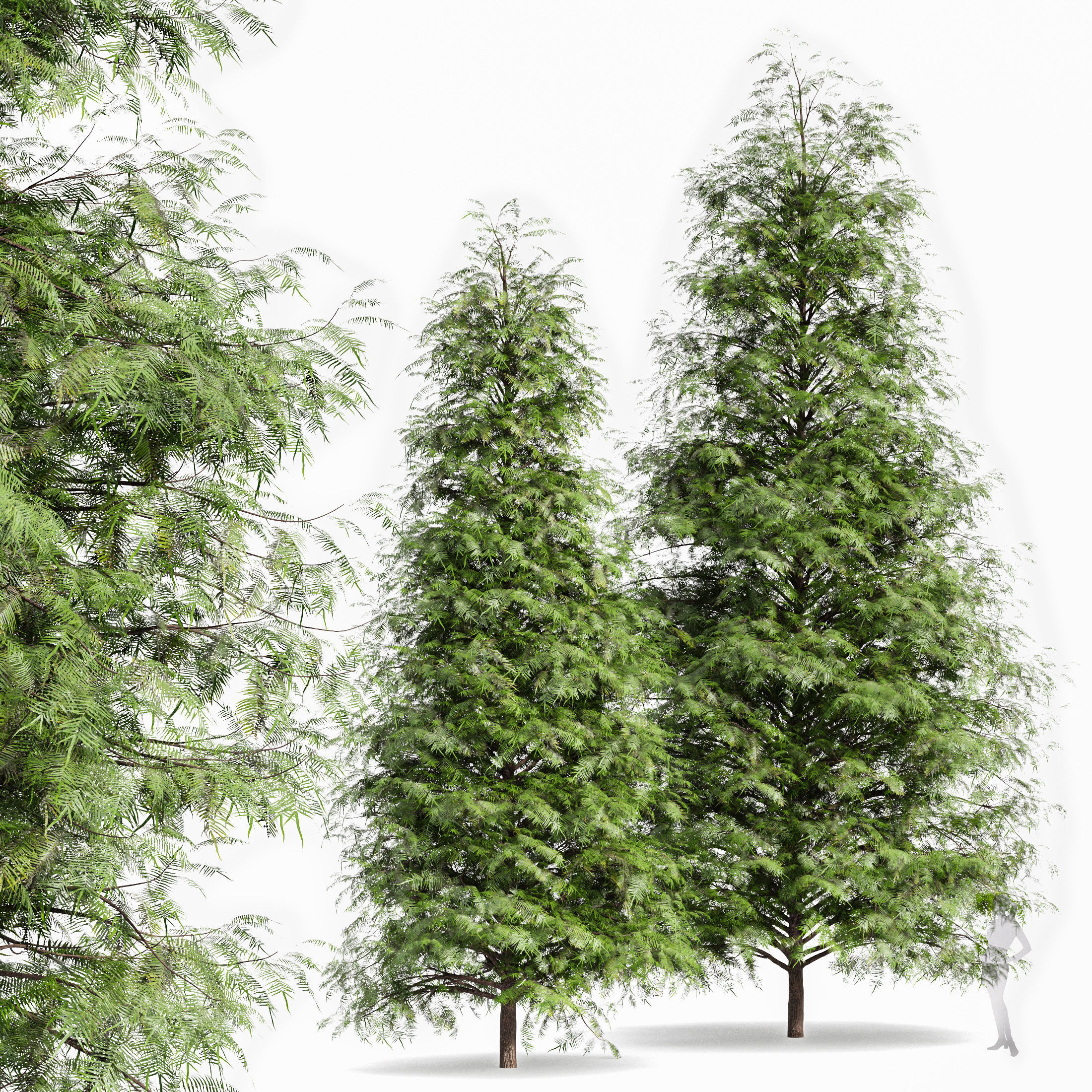 10 Dieffrent Tree Models in One Pak 006 3D model_7