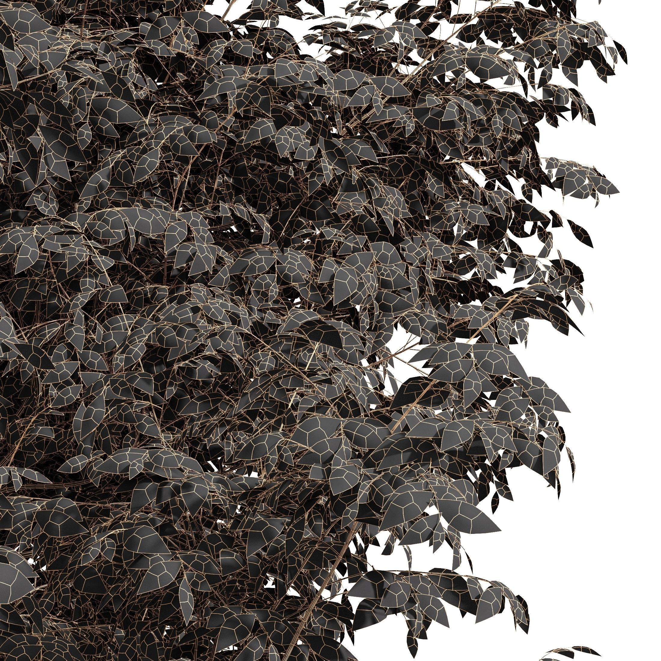 10 Dieffrent Tree Models in One Pak 006 3D model_45