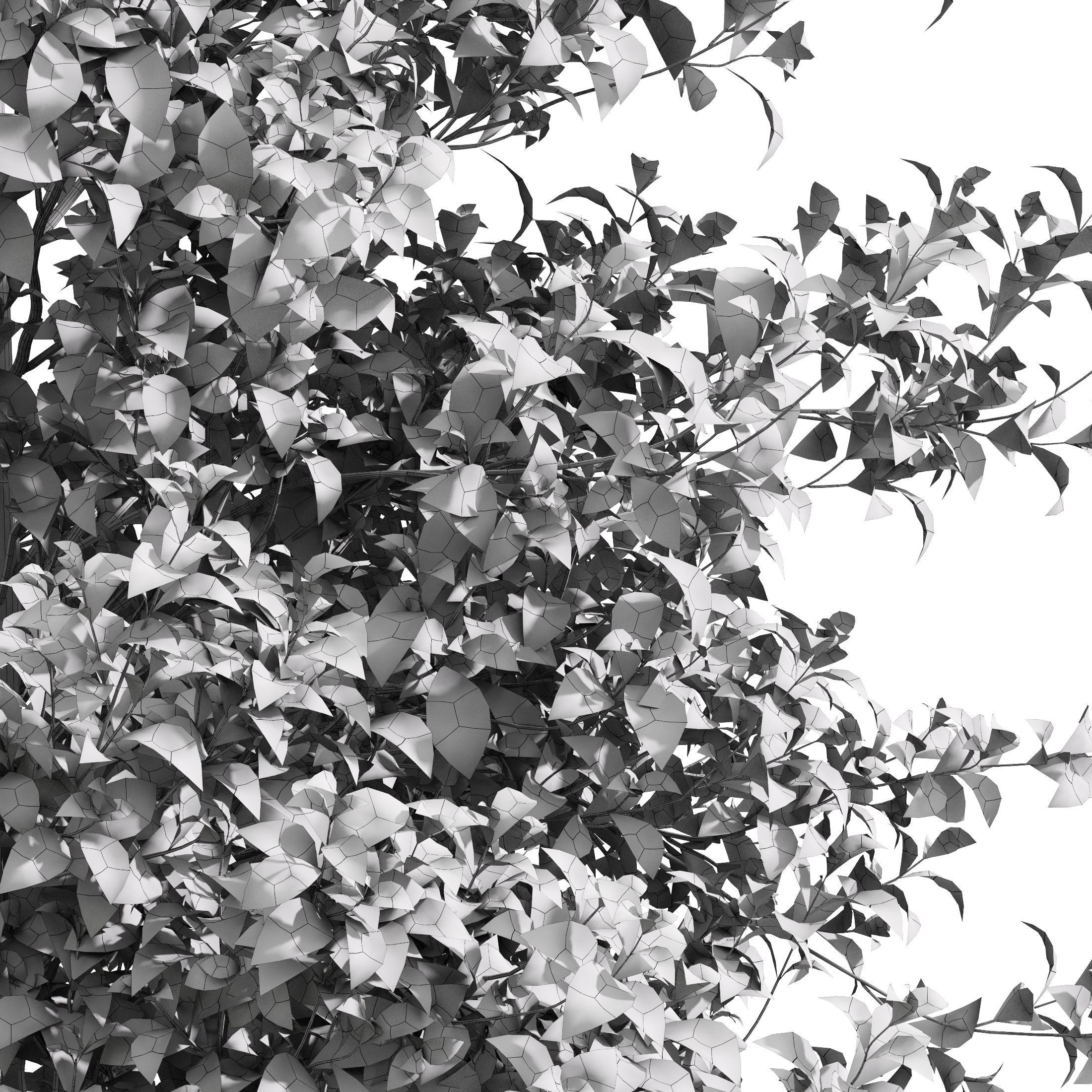 10 Dieffrent Tree Models in One Pak 006 3D model_25