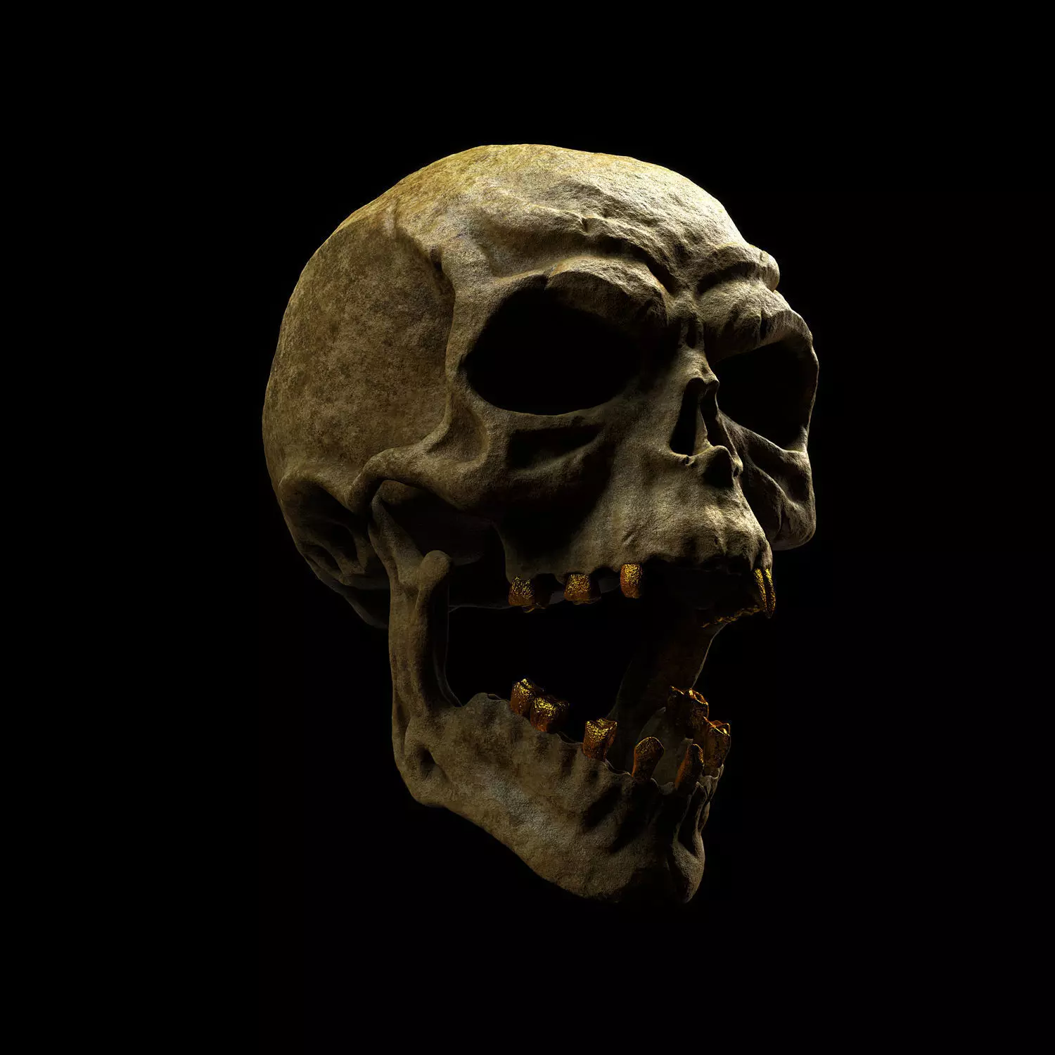 Skull 3D model