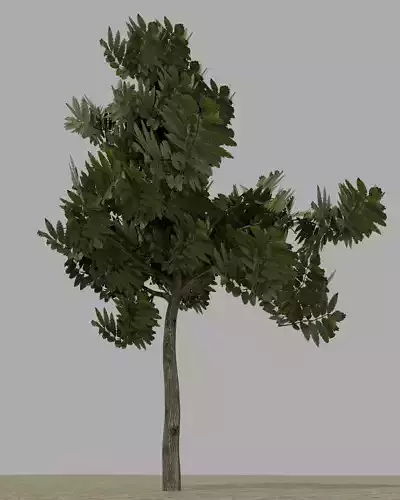 Simple Tree Free low-poly 3D model