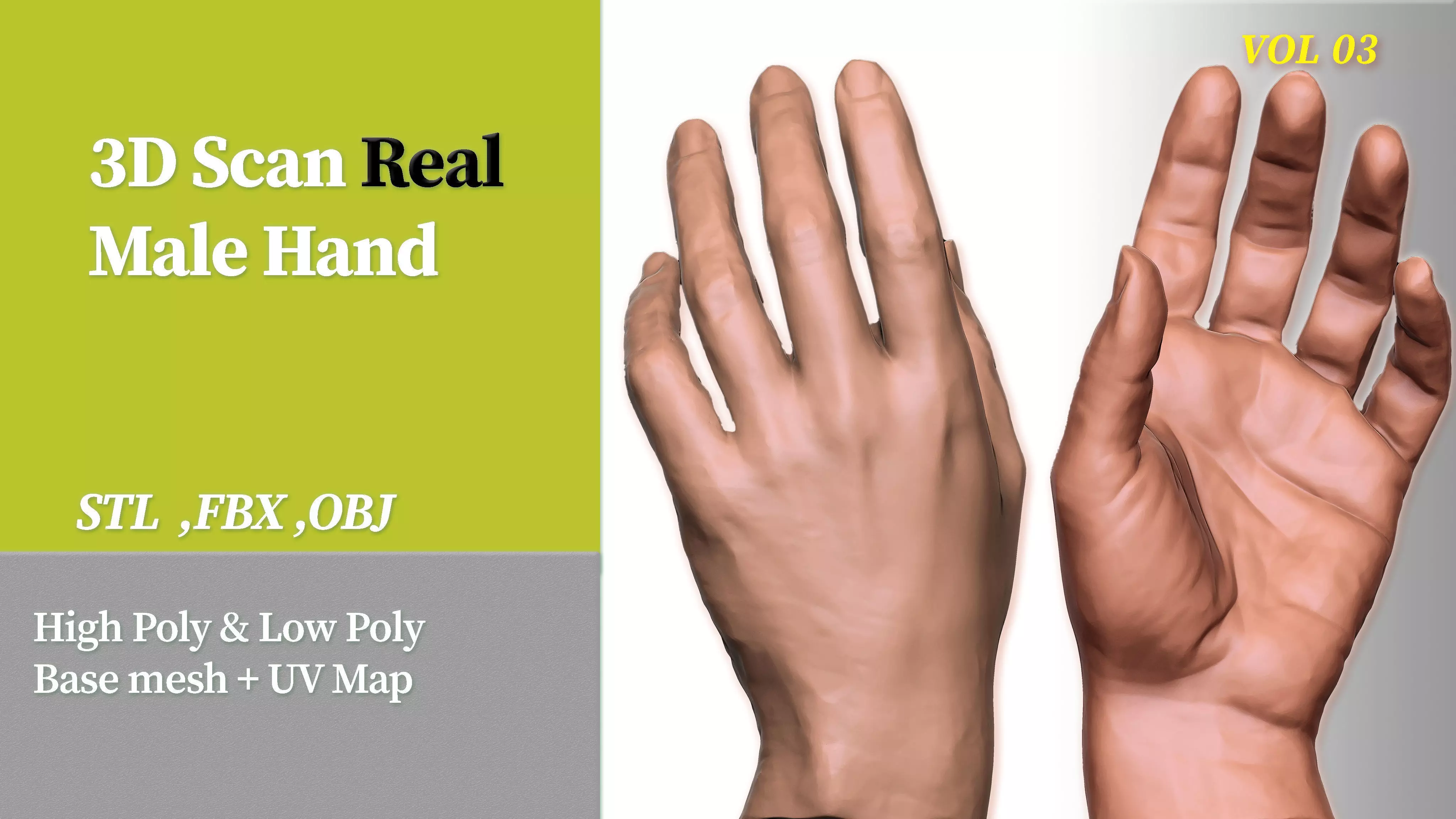 3D Scan Real Male Hand VOL 03 3D print model_0