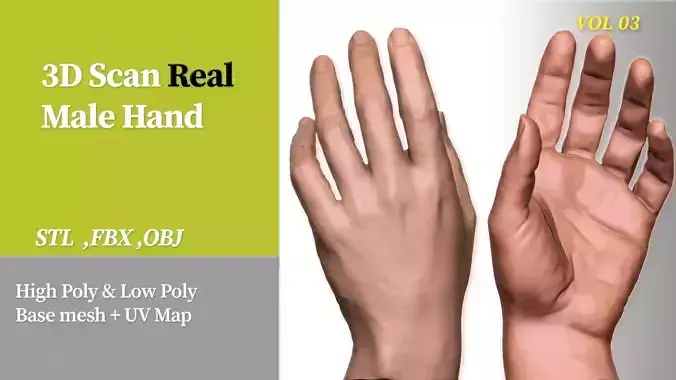 3D Scan Real Male Hand VOL 03 3D print model