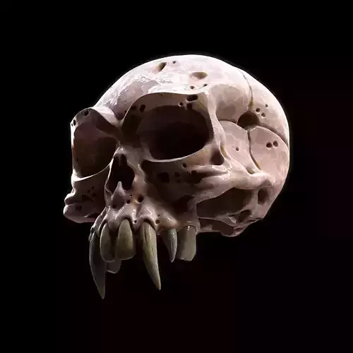 Skull Spider 3D model