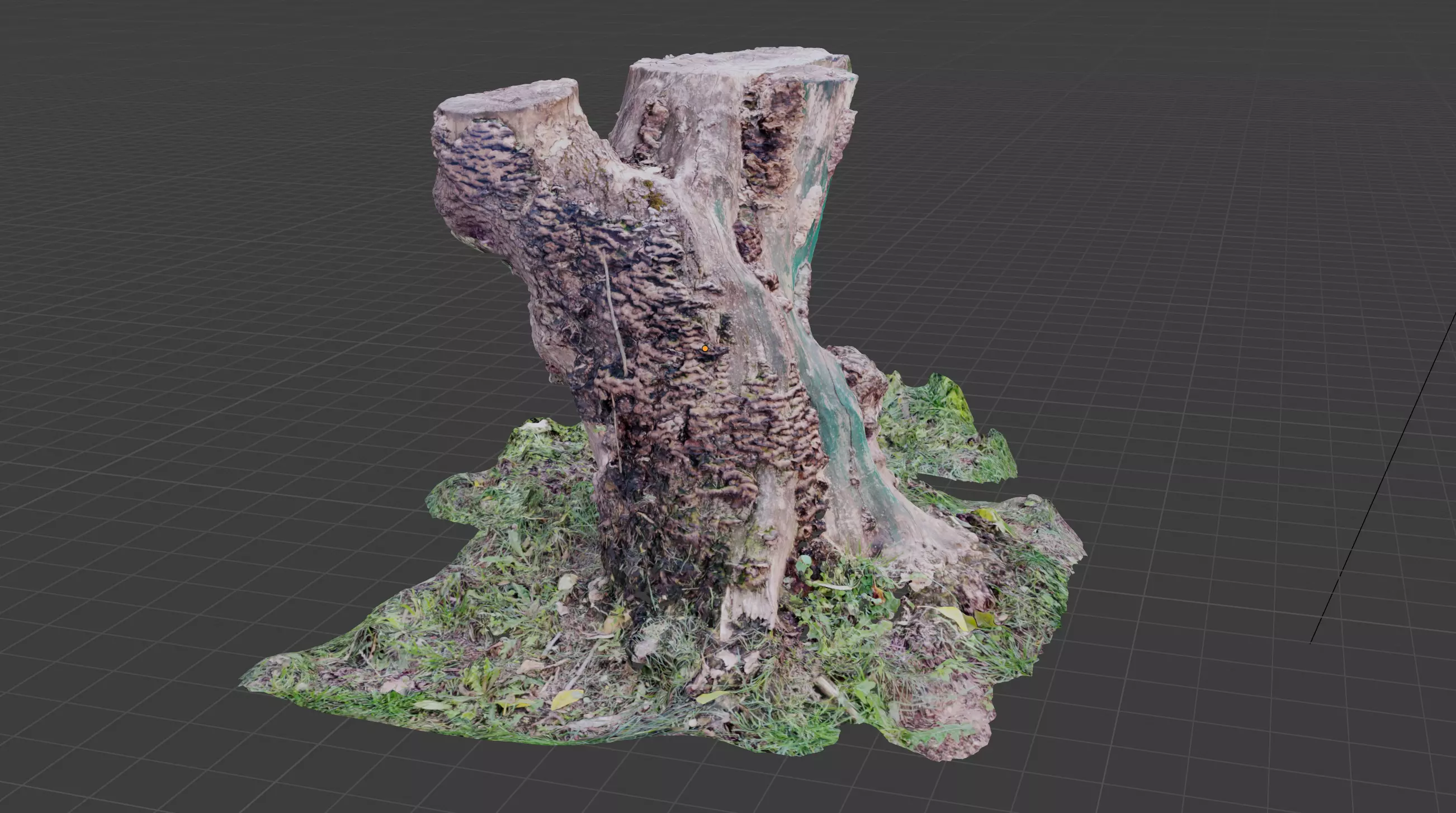 Tree trunk Free low-poly 3D model